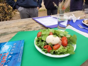 8 de abril Ciencias 8° Básicos clases menú saludable