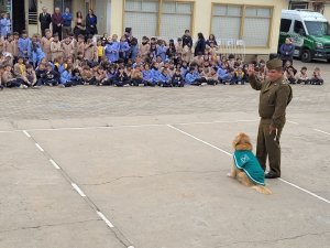 Visita Escuadrón Canino