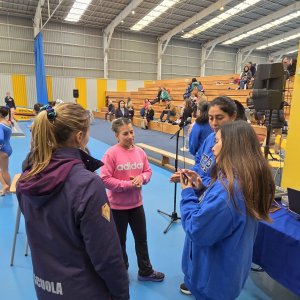 Campeonato de Gimnasia Artística