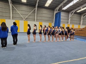 Campeonato de Gimnasia Artística