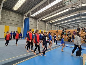 Campeonato de Gimnasia Artística