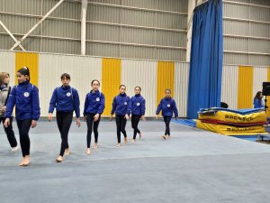 Campeonato de Gimnasia Artística