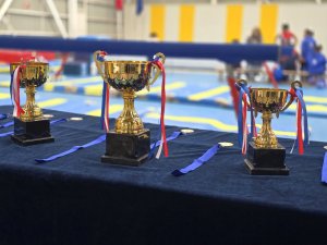 Campeonato de Gimnasia Artística