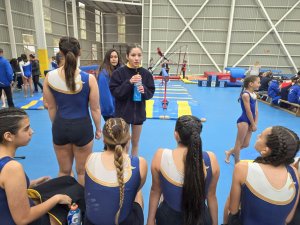 Campeonato de Gimnasia Artística