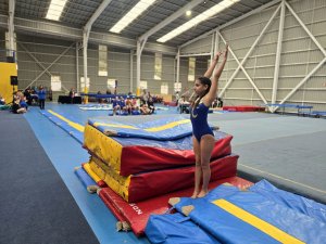 Campeonato de Gimnasia Artística