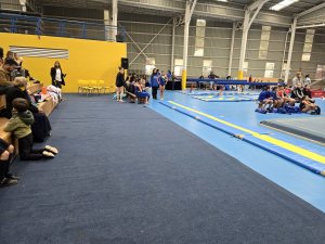 Campeonato de Gimnasia Artística