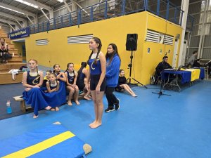 Campeonato de Gimnasia Artística