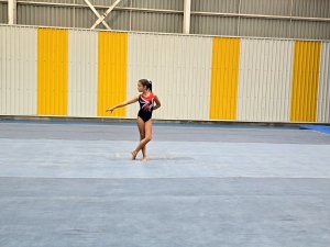 Campeonato de Gimnasia Artística