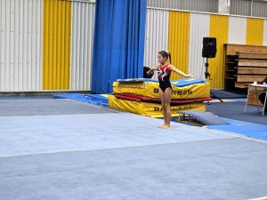 Campeonato de Gimnasia Artística