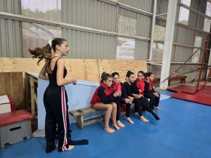 Campeonato de Gimnasia Artística