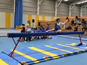 Campeonato de Gimnasia Artística