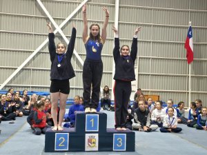 Campeonato de Gimnasia Artística