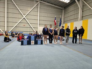 Campeonato de Gimnasia Artística