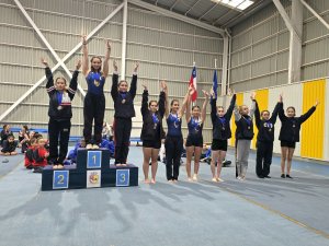 Campeonato de Gimnasia Artística