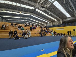 Campeonato de Gimnasia Artística