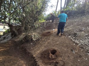 Trabajos Pérgola