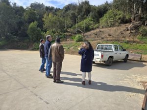 Trabajos Pérgola