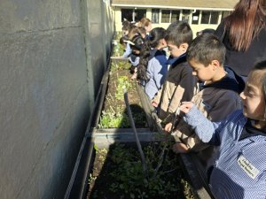 8 de agosto Cierre actividad 1º Básicos Laboratorio Vegetal Las Salinas