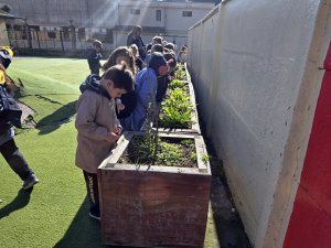 8 de agosto Cierre actividad 1º Básicos Laboratorio Vegetal Las Salinas