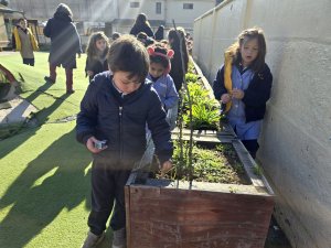 8 de agosto Cierre actividad 1º Básicos Laboratorio Vegetal Las Salinas