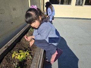 8 de agosto Cierre actividad 1º Básicos Laboratorio Vegetal Las Salinas