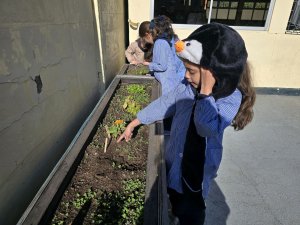 8 de agosto Cierre actividad 1º Básicos Laboratorio Vegetal Las Salinas