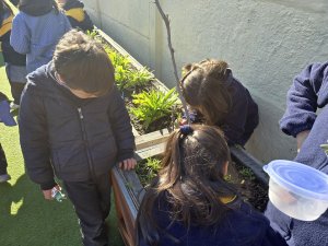 8 de agosto Cierre actividad 1º Básicos Laboratorio Vegetal Las Salinas