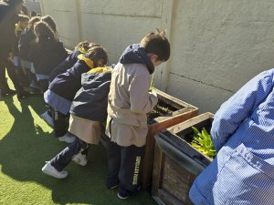 8 de agosto Cierre actividad 1º Básicos Laboratorio Vegetal Las Salinas