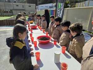 21 taller Cabeza de pasto 3° Básicos