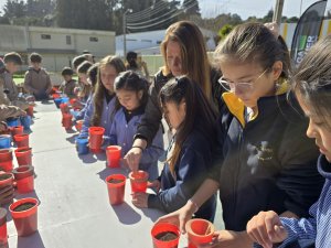 21 taller Cabeza de pasto 3° Básicos