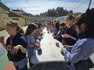 21 taller Cabeza de pasto 3° Básicos