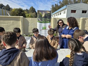 21 taller Cabeza de pasto 3° Básicos