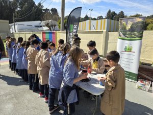 21 taller Cabeza de pasto 3° Básicos