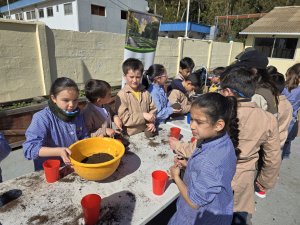 21 taller Cabeza de pasto 3° Básicos