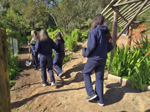 22 de agosto Ceremonia de plantación Sendero Ecológico