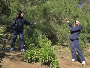 22 de agosto Ceremonia de plantación Sendero Ecológico