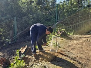 22 de agosto Ceremonia de plantación Sendero Ecológico