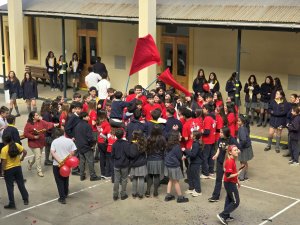 6 de septiembre Lienzos 2024