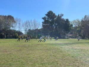 11 de septiembre Alianzas Deporte