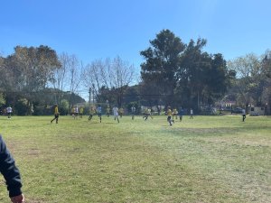 11 de septiembre Alianzas Deporte