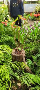 25 de septiembre Salida Pedagógica I "C" Jardín Botánico