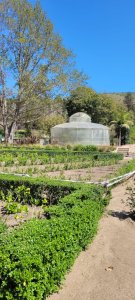 25 de septiembre Salida Pedagógica I "C" Jardín Botánico