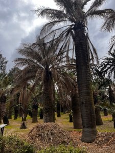 30 de septiembre salida Pedagógica I "A" Jardín Botánico