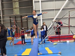 8 de octubre Campeonato de Gimnasia Artística