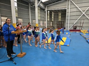 8 de octubre Campeonato de Gimnasia Artística