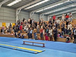 8 de octubre Campeonato de Gimnasia Artística