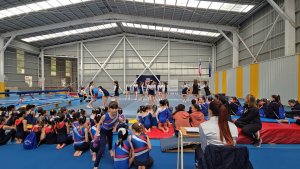 8 de octubre Campeonato de Gimnasia Artística