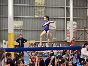 8 de octubre Campeonato de Gimnasia Artística