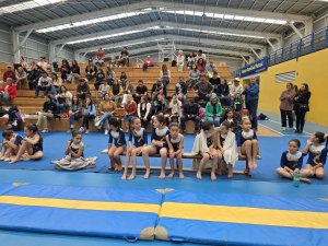 8 de octubre Campeonato de Gimnasia Artística