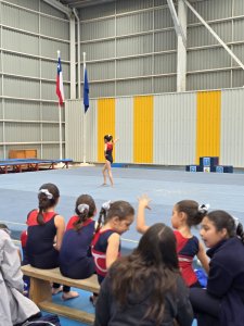 8 de octubre Campeonato de Gimnasia Artística